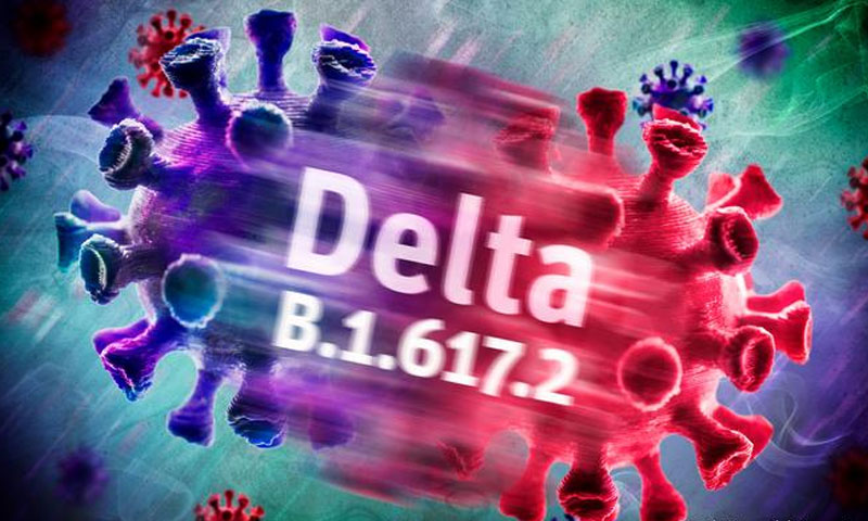 ڈیلٹا کا معیشت پر حملہ، تیل کی قیمتیں گر گئیں