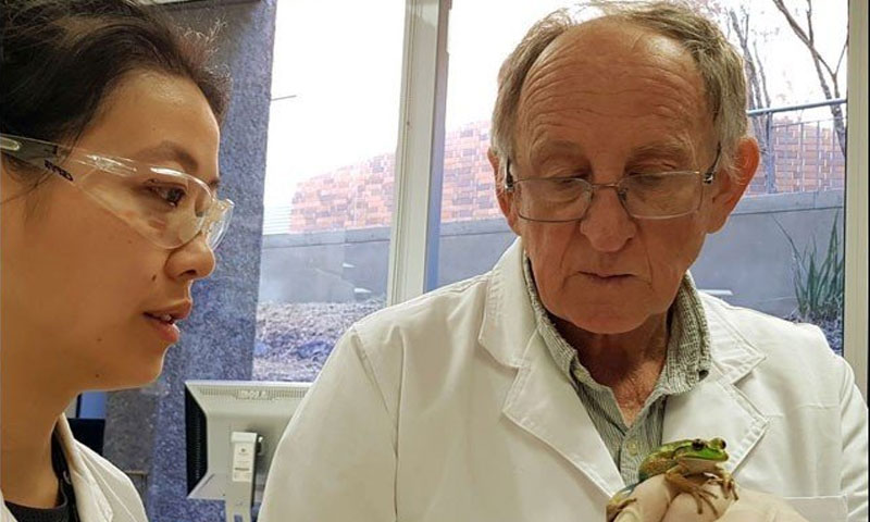 مینڈکوں سے باتیں کرنے والا سائنسدان