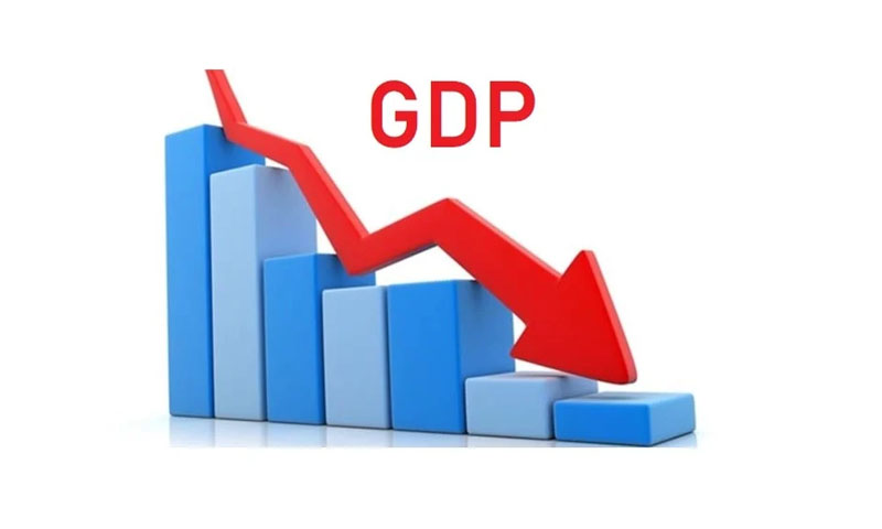 بجٹ برائے مالی سال 2020-21: جی ڈی پی کی شرح 4.8 فیصد مقرر