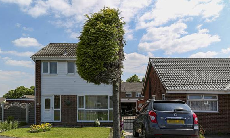 پڑوسیوں کے جھگڑے کا نتیجہ، سیاحوں کو اپنی جانب مبذول کر لیا