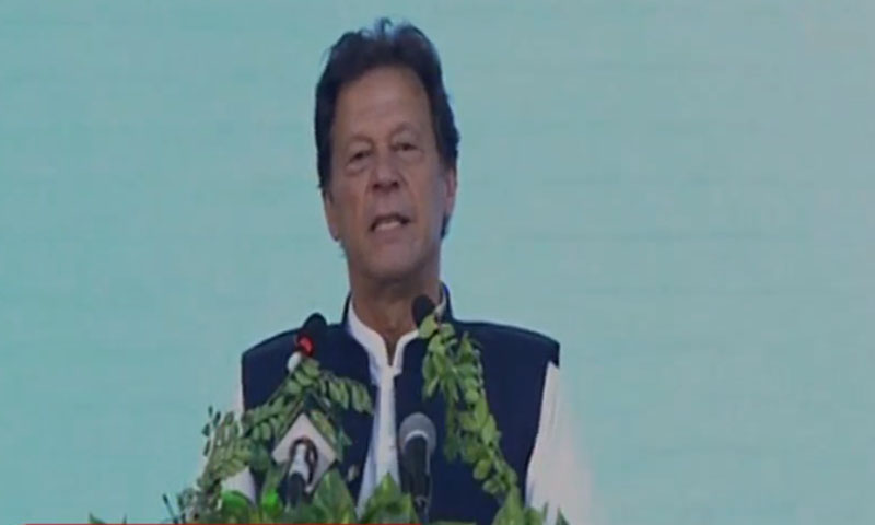 خواتین اور نوجوانو ں کو جنگلات سیکٹر میں ملازمتیں دیں گے، وزیراعظم