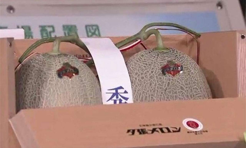 خربوزوں کی جوڑی 39 لاکھ روپے میں نیلام