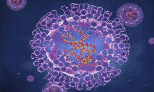 ملک میں منکی پاکس کے کیسز میں تشویشناک اضافہ، 9 اموات کی تصدیق