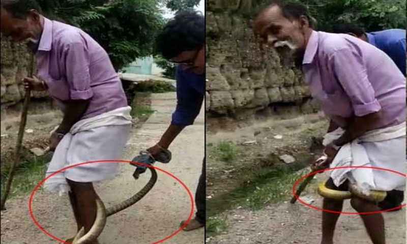خطرناک سانپ بزرگ شہری کی ٹانگوں سے لپٹ گیا