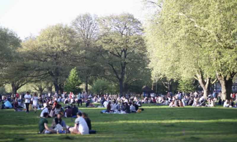 ٹک ٹاکرز اور یوٹیوبرز کے پارکس میں ویڈیو بنانے پر پابندی لگانے کا فیصلہ