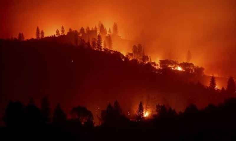 کیلیفورنیا کے جنگلات میں تاریخ کی دوسری بڑی آتشزدگی