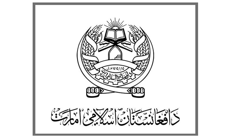 ’’سرکاری زبان دری و پشتو، مذہب اسلام ہو گا’’ افغانستان کا آئینی و اساسی ڈھانچہ