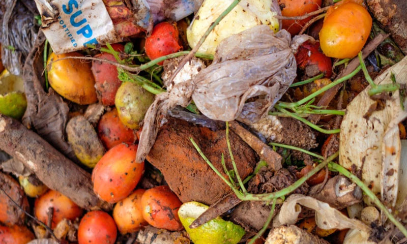 دنیا میں پیدا ہونے والی خوراک کا 17 فیصد حصہ ضائع ہو جاتا ہے