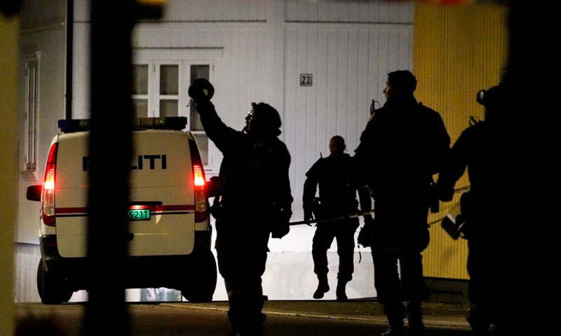 ناروے: تیر کمان سے مسلح شخص کے وار، کئی افراد قتل، متعدد زخمی