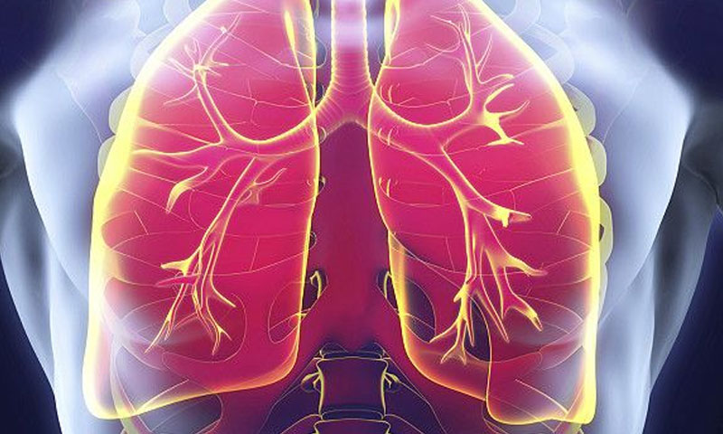 کورونا کی وجہ سے ٹی بی کے مریضوں کی اموات میں اضافہ