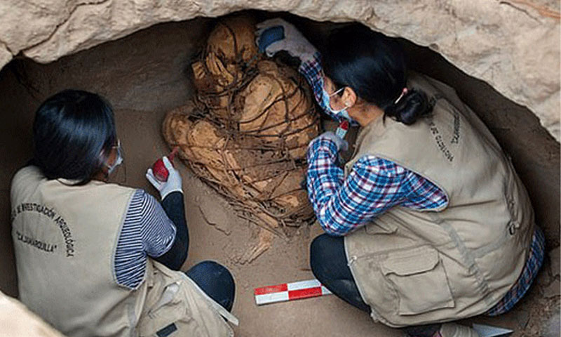 رسیوں میں جکڑی سینکڑوں سال پرانی ممی دریافت