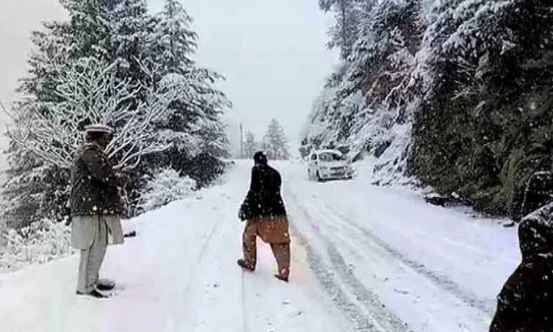 snow fall برف باری