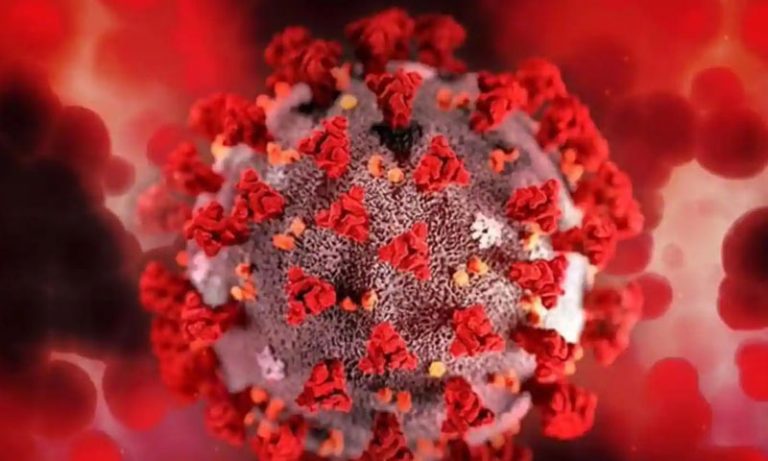 بھارت، نئی دہلی، کورونا کیسز میں اچانک اضافہ