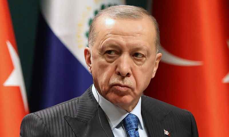 tayyab erdogan
