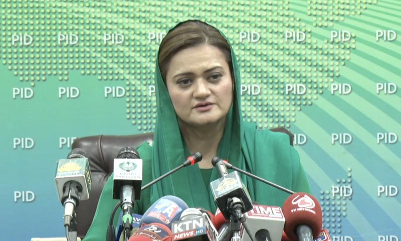 پلاسٹک بیگز (plastic bags)