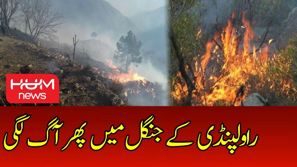 راولپنڈی: کہوٹہ کے جنگل میں آگ لگ گئی