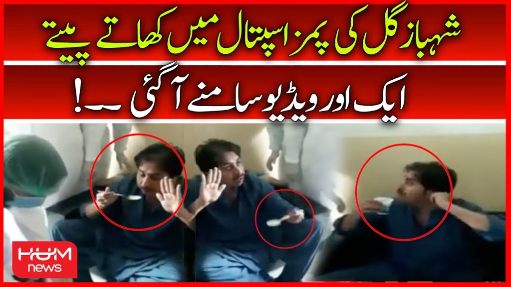 کھاتے پیتے، شکوے شکایت، شہباز گل کی ایک اور ویڈیو سامنے آ گئی