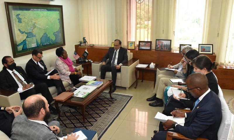 عالمی برادری پاکستان کی مدد جاری رکھے، احسن اقبال کی امریکی کانگریس کے وفد سے ملاقات