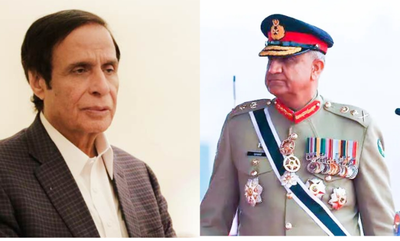 گرے لسٹ سے نکلنے کا کریڈٹ آرمی چیف کو جاتا ہے، پرویز الہٰی