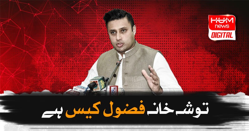 توشہ خانہ فضول کیس ہے، ان کا نواز شریف کو نومبر میں لانیکا پورا ارادہ ہے، زلفی بخاری