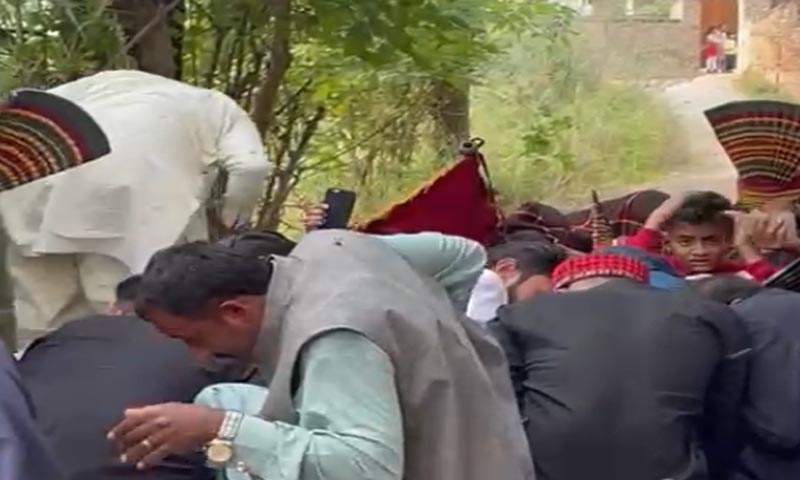 بارات پر شہد کی مکھیوں کا حملہ، باراتی اسپتال پہنچ گئے، متاثرین میں دولہا بھی شامل