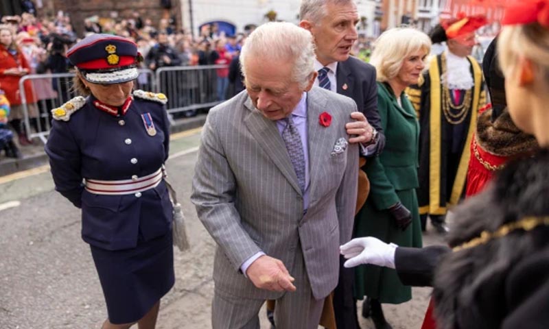 برطانوی شہری کی اپنے بادشاہ کو انڈے مارنے کی کوشش، پولیس نے گرفتار کر لیا