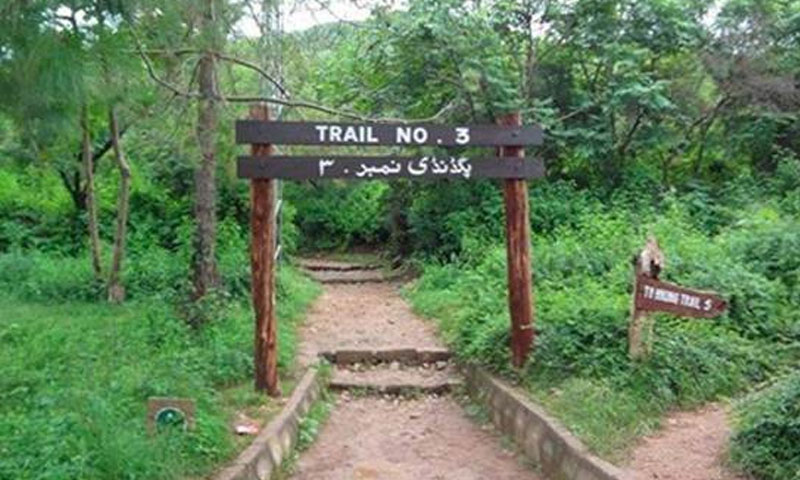 Trail