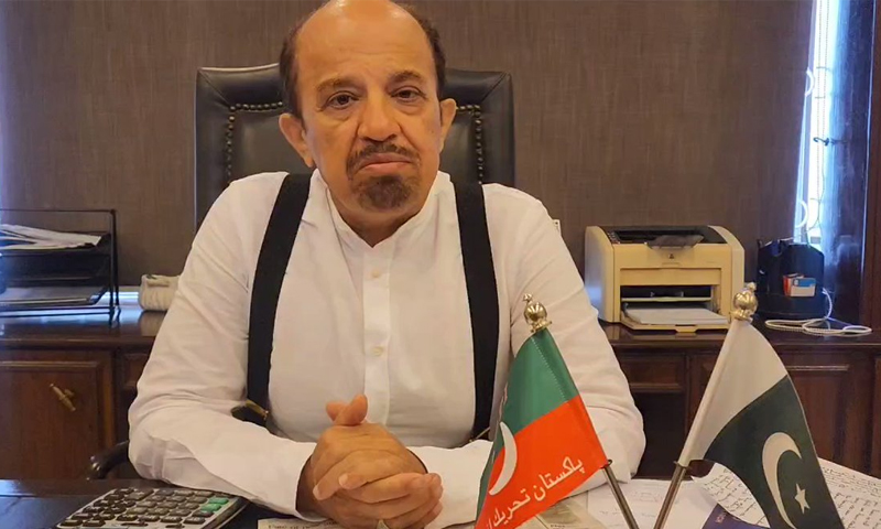 firdoos shameen naqvi