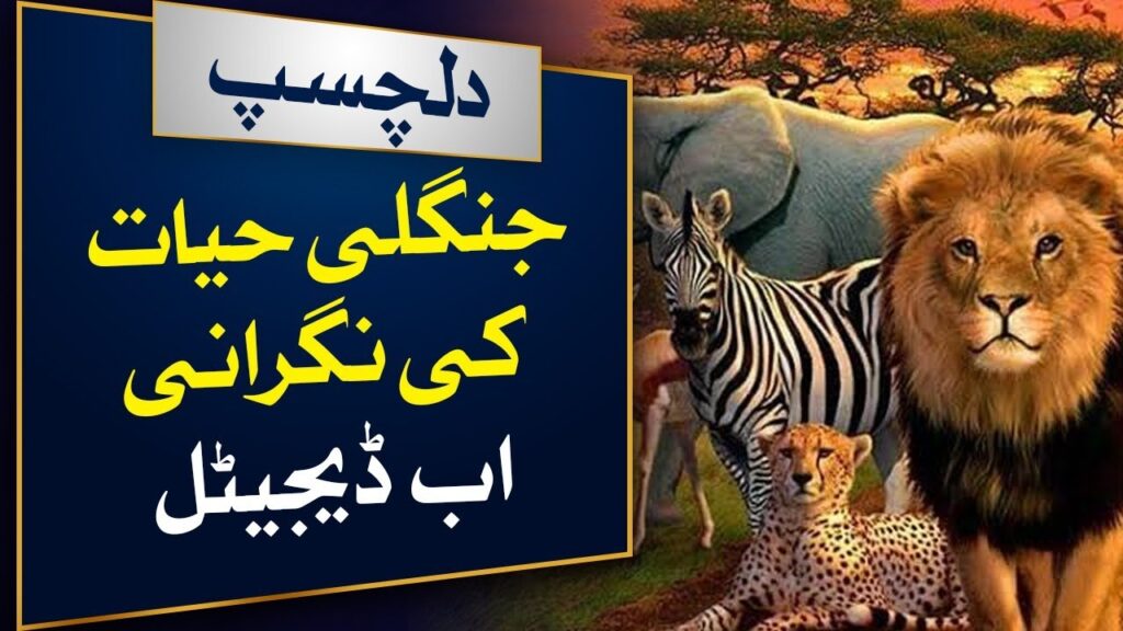 جنگلی حیات کی نگرانی اور حفاظت اب ڈیجیٹل ہوگی