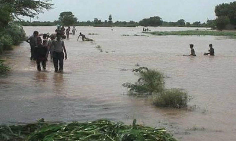 دریائے ستلج کے سیلابی پانی سے روڈز، باغات اور کھیت ڈوب گئے Flood