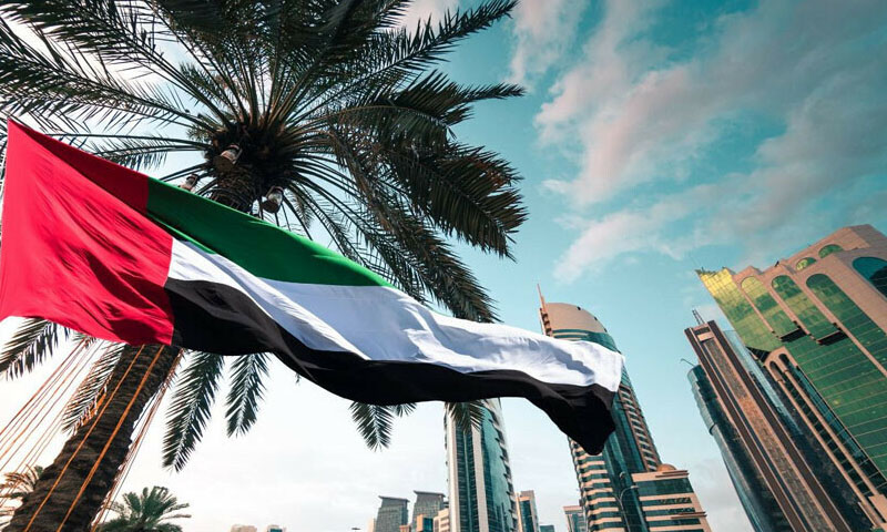 یو اے ای نے اوپیک اور اوپیک پلس چھوڑنے کا اعلان کر دیا