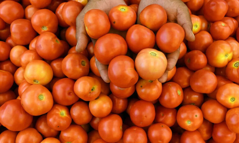 بھارت میں ٹماٹر چھٹیوں پر چلے گئے، ریسٹورنٹس پر نوٹسز چسپاں