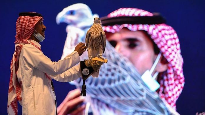 سعودی عرب ، 2 رنگوں کا خوبصورت شہباز کروڑوں روپے میں فروخت