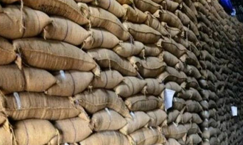 سندھ : 2022 میں گندم غائب ہونے کی رپورٹ ہوگئی wheat
