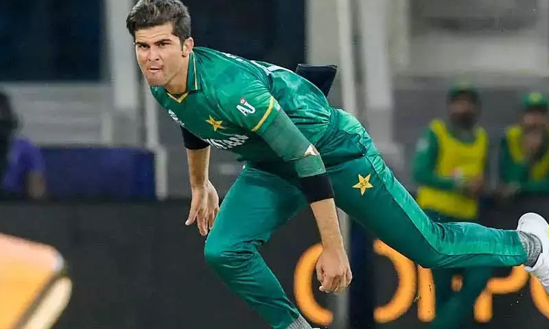 shaheen afridi