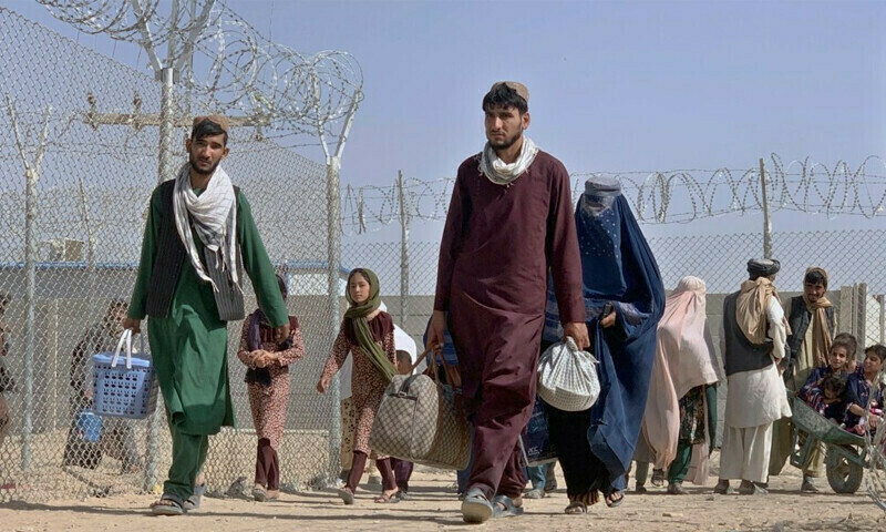تارکین وطن کی بیدخلی ، 496 غیر ملکی قیدیوں کو بھی ڈی پورٹ کر دیا گیا