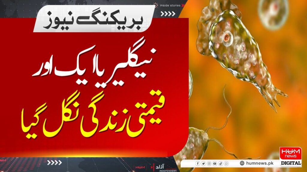 نگلیریا ایک اور قیمتی جان نگل گیا