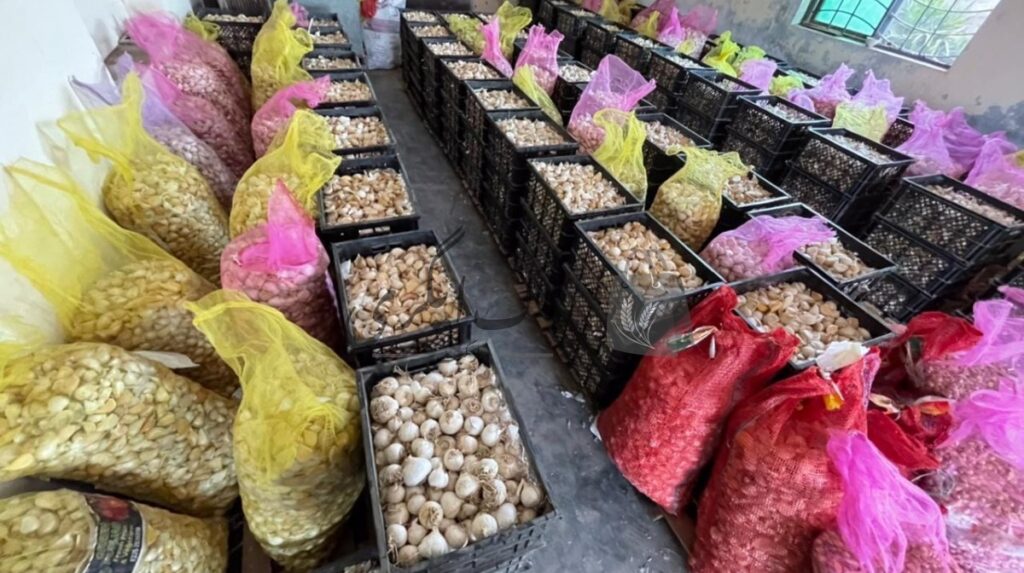 اسلام آباد: لہسن کی نئی قیمت 588 روپے فی کلو تک جا پہنچی