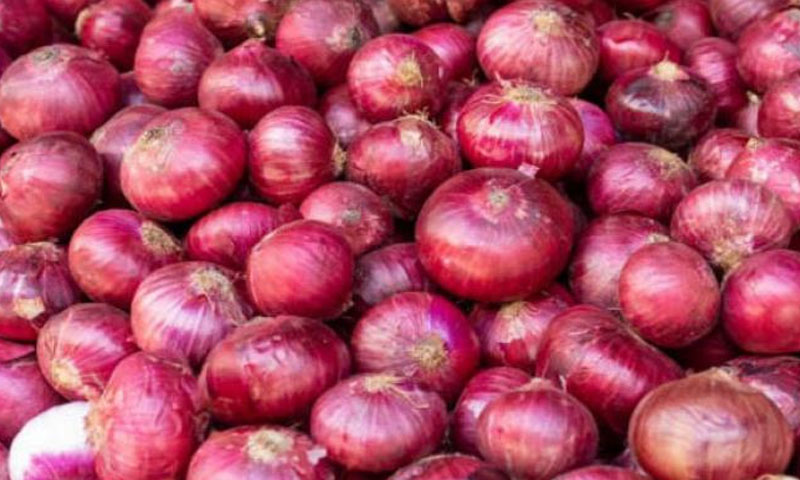 پیاز کی برآمدات onion