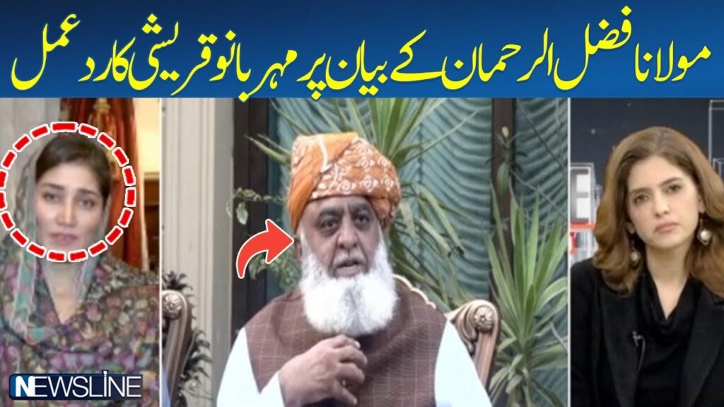 مولانا فضل الرحمان کے بیان پر مہربانو قریشی کا ردعمل