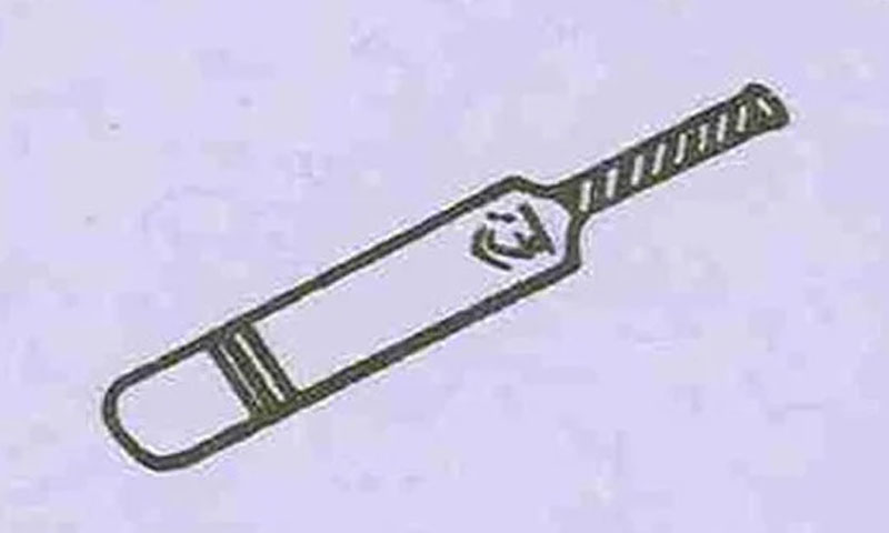 عام انتخابات