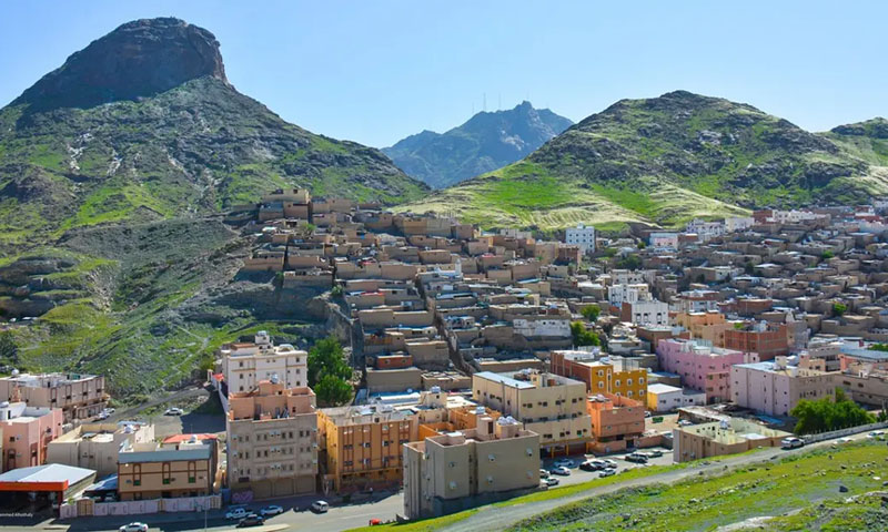 مکہ مکرمہ میں بارشیں ، مسجد الحرام کے قریب واقع ’’جبل النور ‘‘سرسبز ہوگیا makka