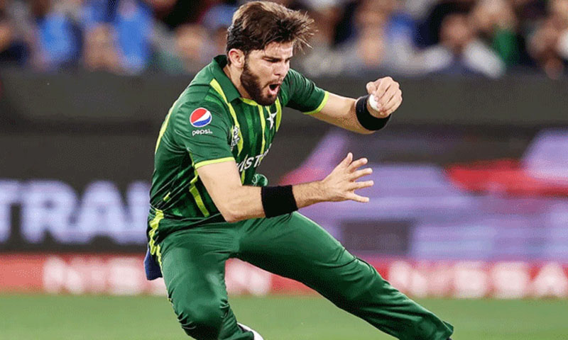 شاہین آفریدی