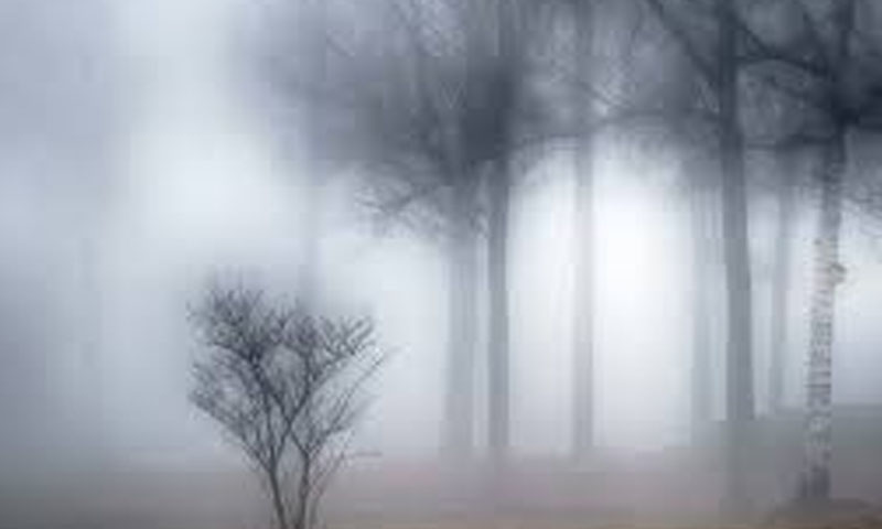 موسم سرد اور خشک