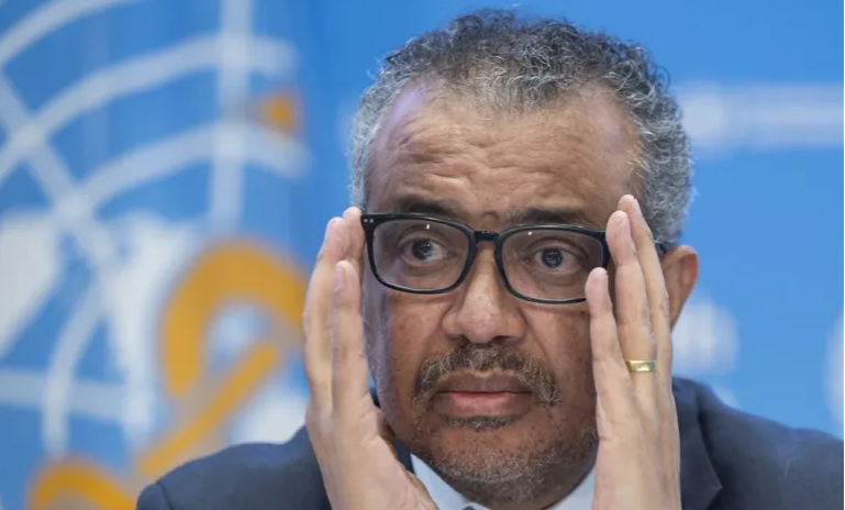 غزہ: "مریض درد سے چیخ رہے ہیں" اسپتال دورے پر سربراہ ڈبلیو ایچ او کا جذباتی بیان