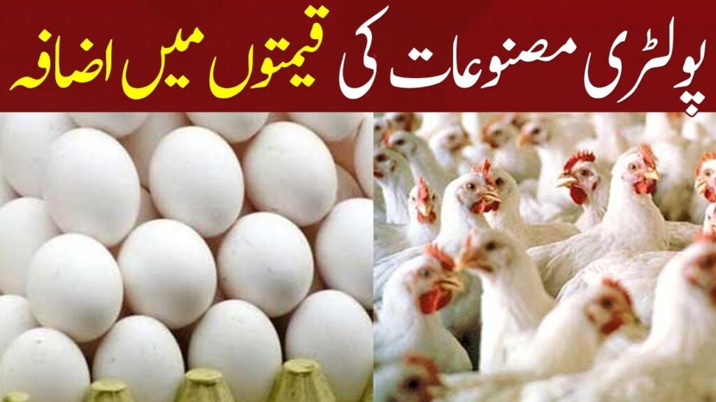 پولٹری مصنوعات کی قیمتوں میں اضافہ