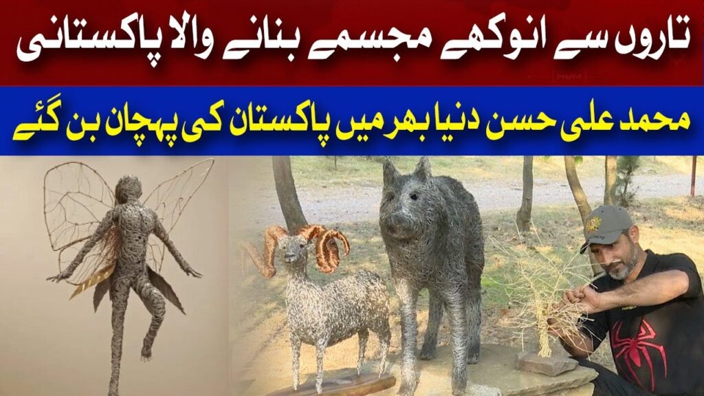 تاروں سے انوکھے مجسمے بنانے والا پاکستانی