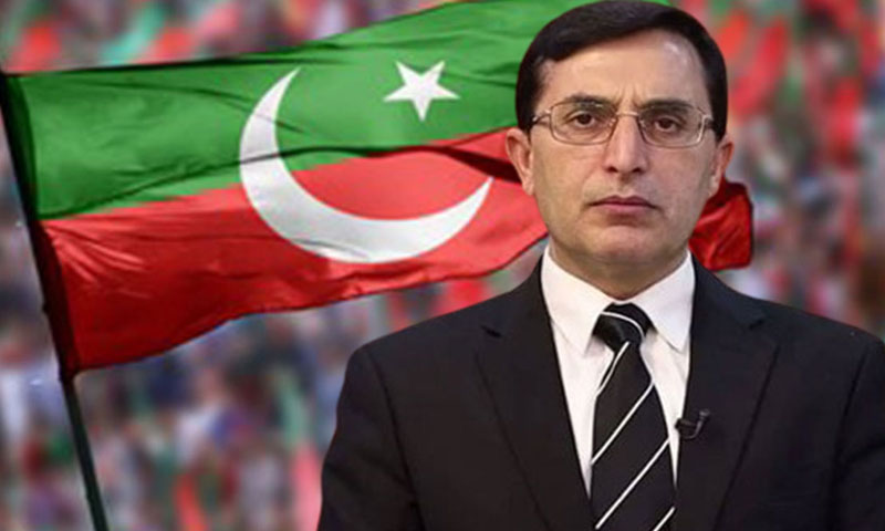 بیرسٹر گوہر pti