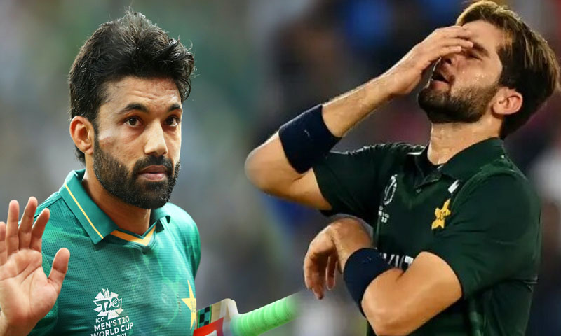 شاہین آفریدی