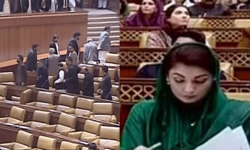 مریم نواز پنجاب کی پہلی خاتون وزیراعلیٰ منتخب